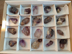 Natural Skeletal Window Amethyst Crystals x 20 From Chiredzi, Zimbabwe - Toprock Gemstones and Minerals 