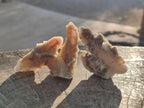Natural Drusy Fairy Spirit Quartz Crystals x 35 From Boekenhouthoek, South Africa - Toprock Gemstones and Minerals 