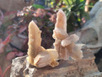 Natural Drusy Fairy Spirit Quartz Crystals x 35 From Boekenhouthoek, South Africa - Toprock Gemstones and Minerals 