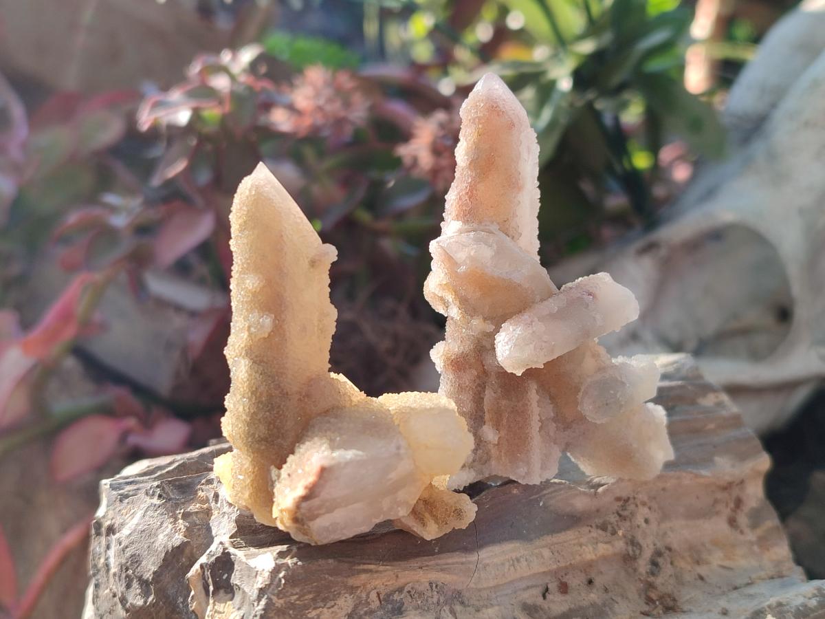 Natural Drusy Fairy Spirit Quartz Crystals x 35 From Boekenhouthoek, South Africa - Toprock Gemstones and Minerals 