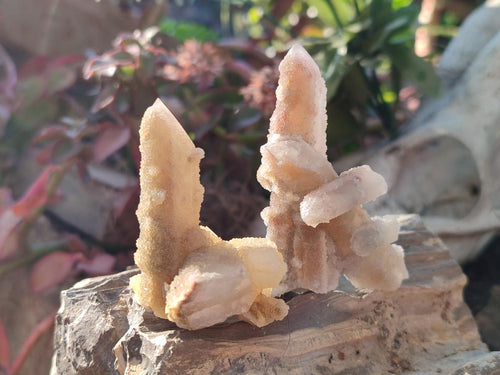 Natural Drusy Fairy Spirit Quartz Crystals x 35 From Boekenhouthoek, South Africa - Toprock Gemstones and Minerals 