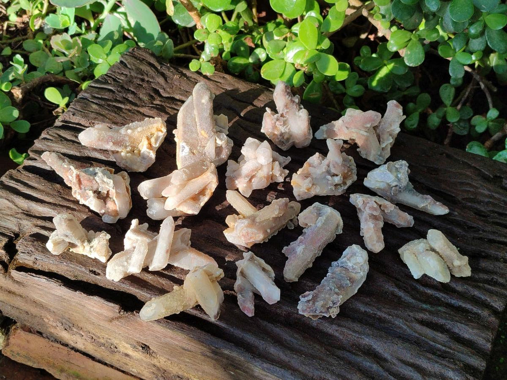 Natural Drusy Fairy Spirit Quartz Crystals x 35 From Boekenhouthoek, South Africa - Toprock Gemstones and Minerals 