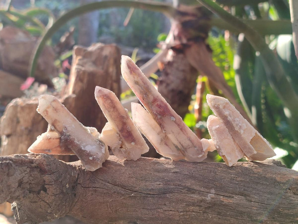 Natural Drusy Fairy Spirit Quartz Crystals x 35 From Boekenhouthoek, South Africa - Toprock Gemstones and Minerals 