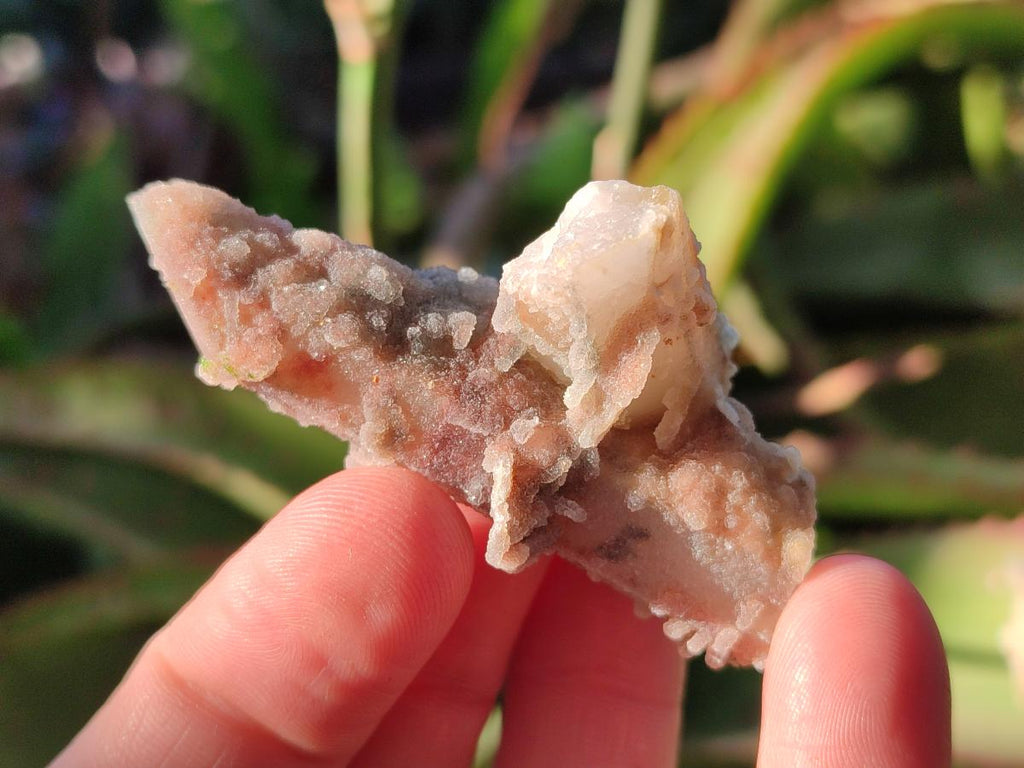 Natural Drusy Fairy Spirit Quartz Crystals x 35 From Boekenhouthoek, South Africa - Toprock Gemstones and Minerals 