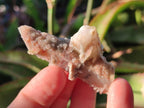 Natural Drusy Fairy Spirit Quartz Crystals x 35 From Boekenhouthoek, South Africa - Toprock Gemstones and Minerals 