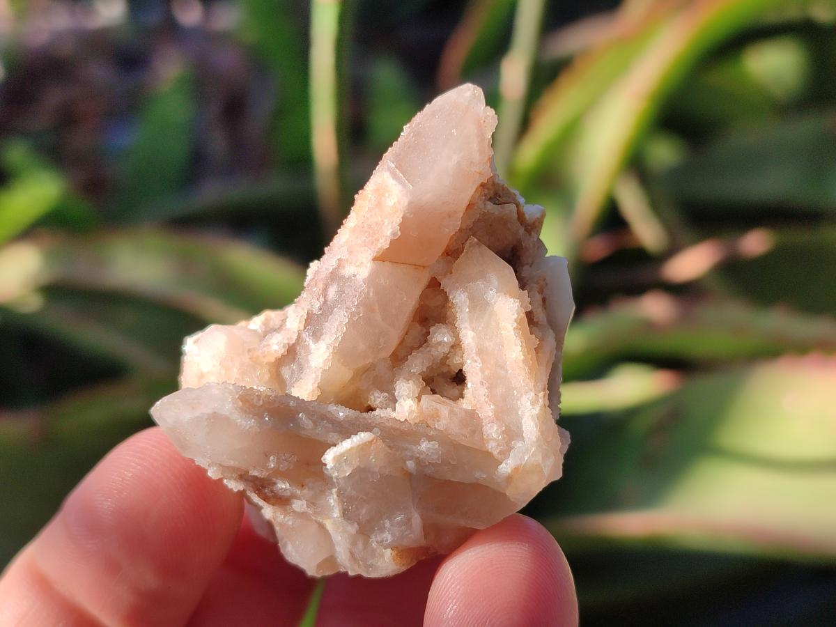 Natural Drusy Fairy Spirit Quartz Crystals x 35 From Boekenhouthoek, South Africa - Toprock Gemstones and Minerals 