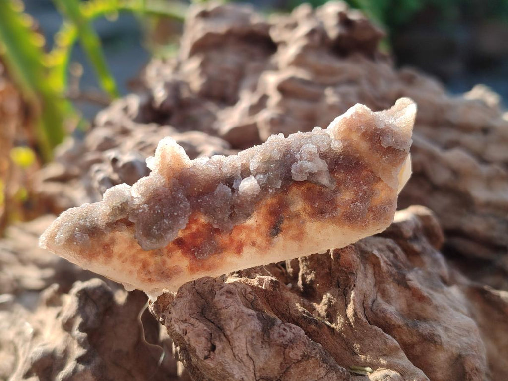 Natural Drusy Fairy Spirit Quartz Crystals x 35 From Boekenhouthoek, South Africa - Toprock Gemstones and Minerals 