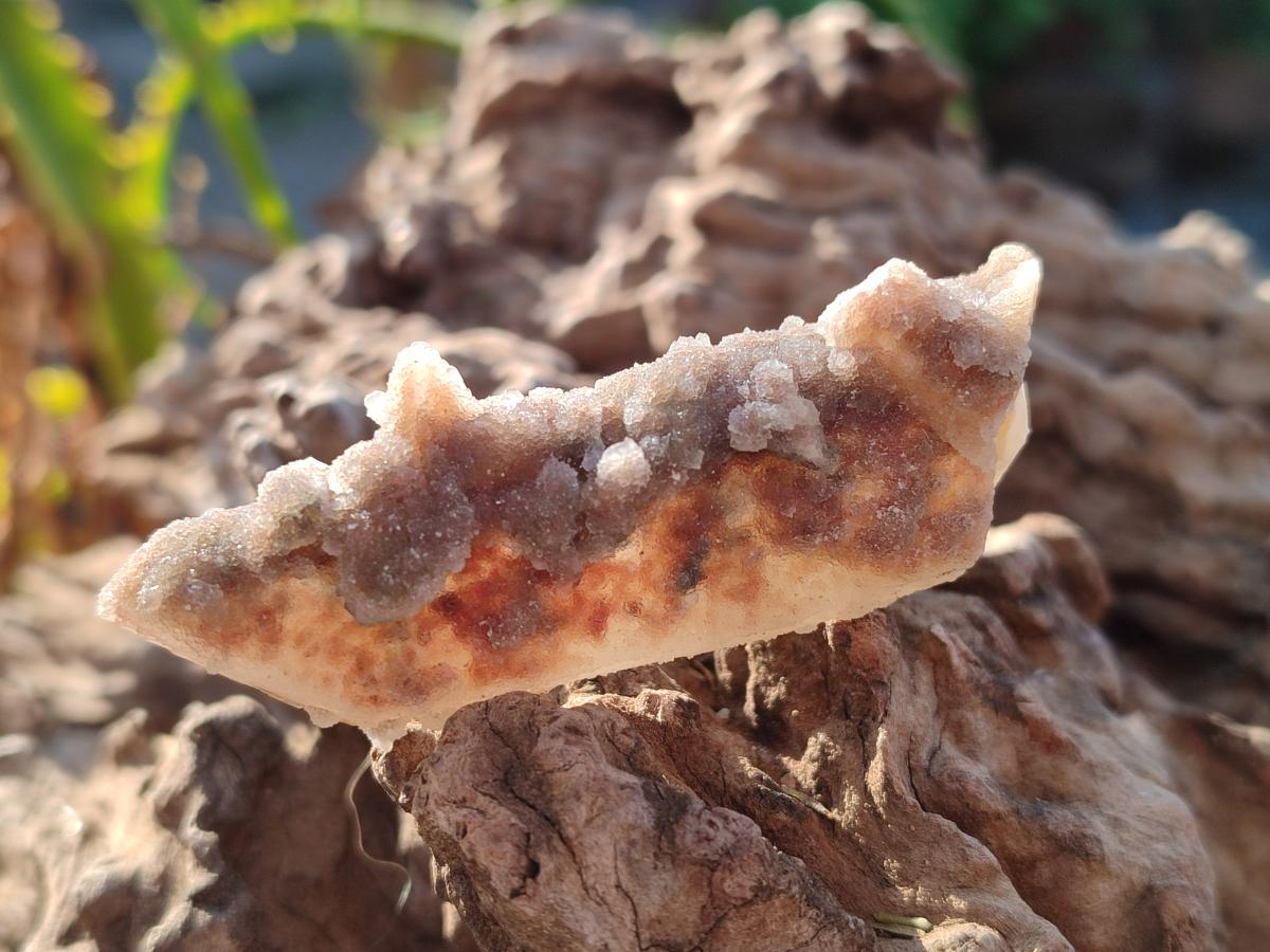 Natural Drusy Fairy Spirit Quartz Crystals x 35 From Boekenhouthoek, South Africa - Toprock Gemstones and Minerals 
