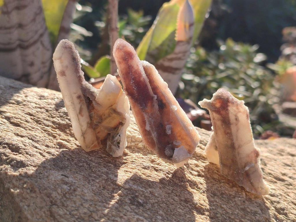 Natural Drusy Fairy Spirit Quartz Crystals x 35 From Boekenhouthoek, South Africa - Toprock Gemstones and Minerals 