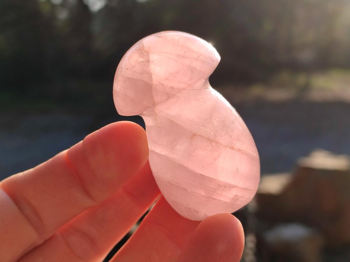Polished Gemmy Rose Quartz Mushrooms x 24 From Madagascar - Toprock Gemstones and Minerals 