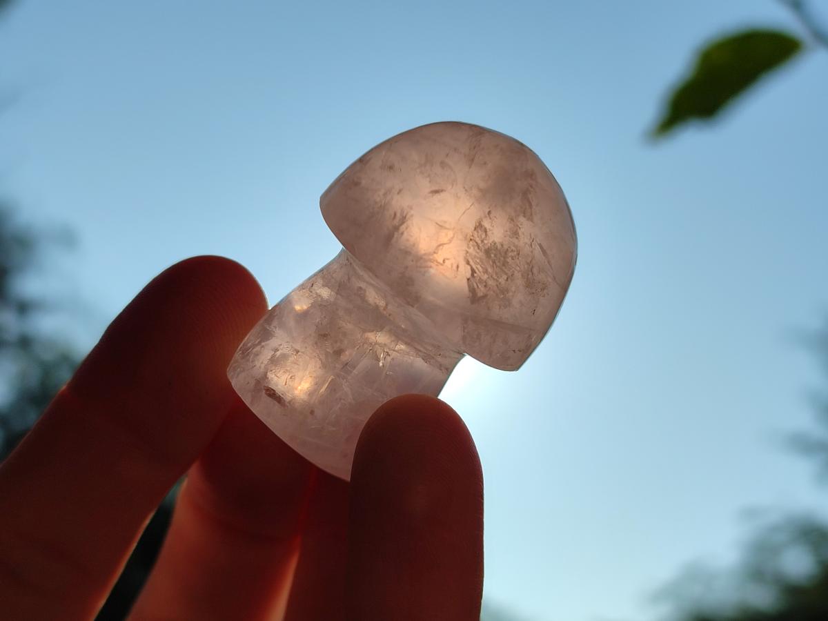 Polished Gemmy Rose Quartz Mushrooms x 24 From Madagascar - Toprock Gemstones and Minerals 