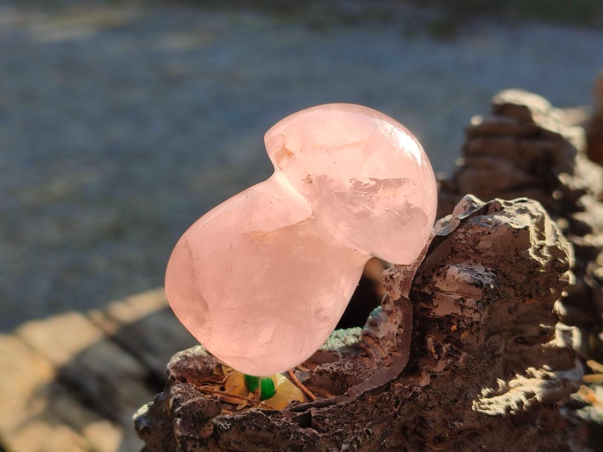 Polished Gemmy Rose Quartz Mushrooms x 24 From Madagascar - Toprock Gemstones and Minerals 
