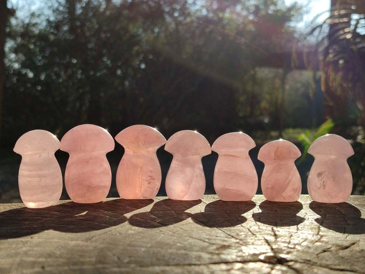Polished Gemmy Rose Quartz Mushrooms x 24 From Madagascar - Toprock Gemstones and Minerals 