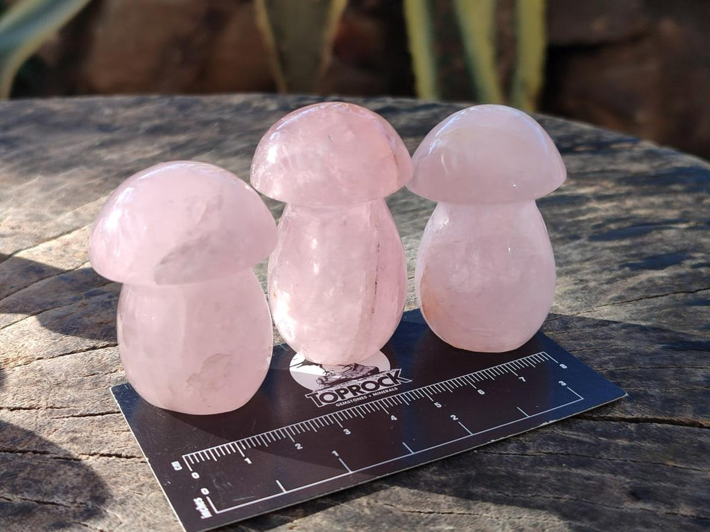 Polished Gemmy Rose Quartz Mushrooms x 24 From Madagascar - Toprock Gemstones and Minerals 