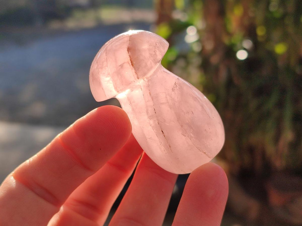 Polished Gemmy Rose Quartz Mushrooms x 24 From Madagascar - Toprock Gemstones and Minerals 
