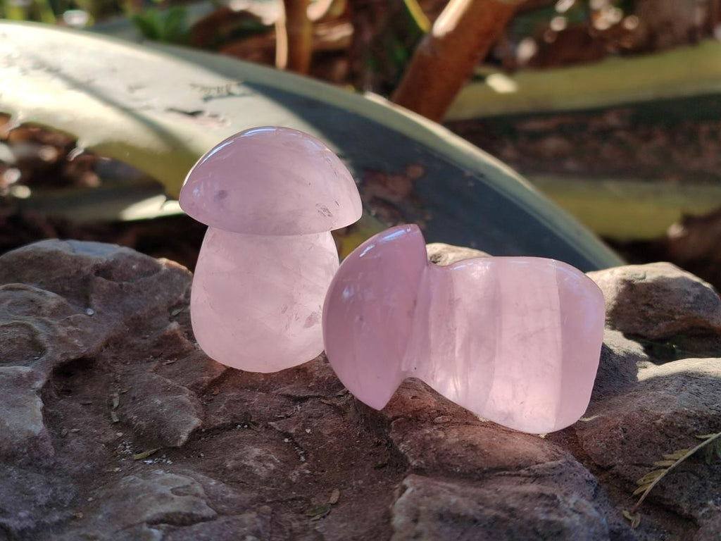 Polished Gemmy Rose Quartz Mushrooms x 24 From Madagascar - Toprock Gemstones and Minerals 