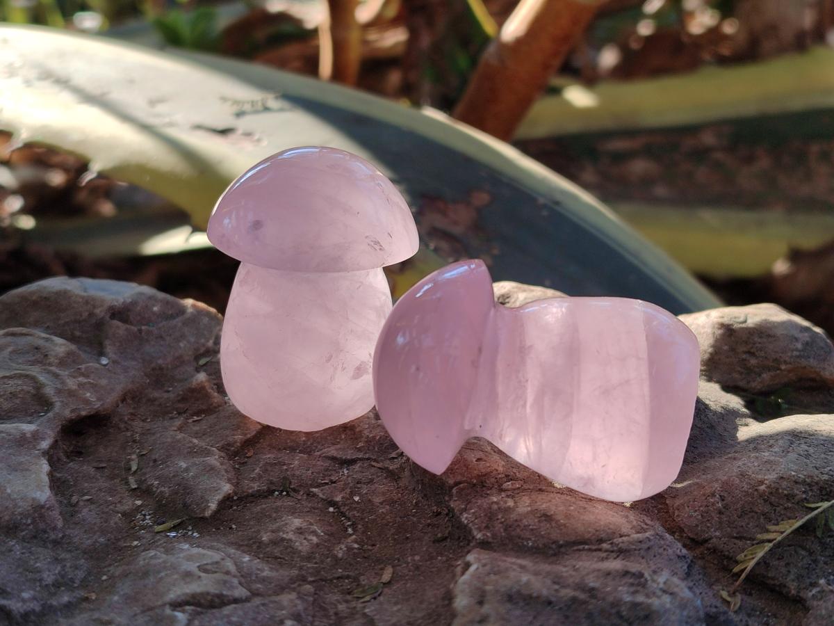 Polished Gemmy Rose Quartz Mushrooms x 24 From Madagascar - Toprock Gemstones and Minerals 
