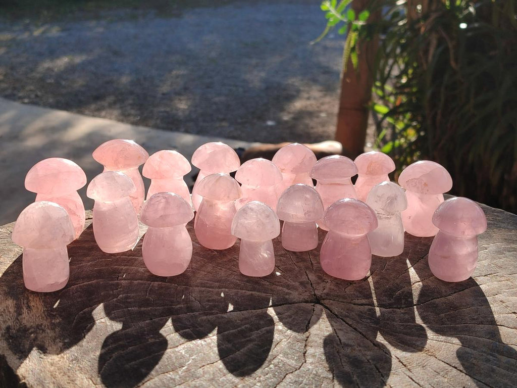Polished Gemmy Rose Quartz Mushrooms x 24 From Madagascar - Toprock Gemstones and Minerals 