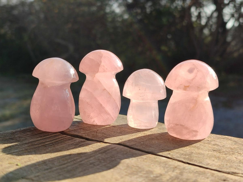 Polished Gemmy Rose Quartz Mushrooms x 24 From Madagascar - Toprock Gemstones and Minerals 