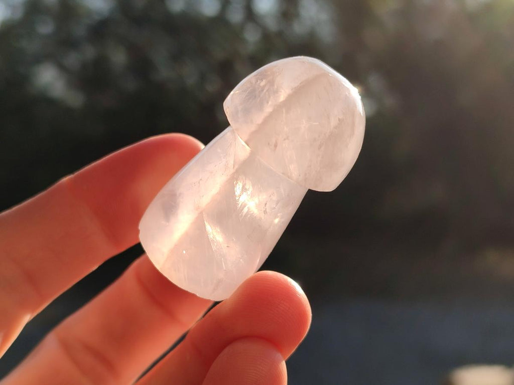 Polished Gemmy Rose Quartz Mushrooms x 24 From Madagascar - Toprock Gemstones and Minerals 
