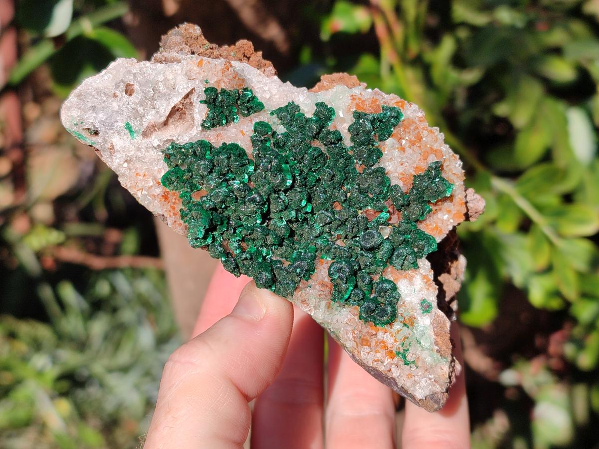 Natural Ball Malachite Specimens Coated with Drusy Quartz on Dolomite x 2 From Mindingi Mine, Congo - Toprock Gemstones and Minerals 