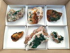 Natural Ball Malachite Specimens Coated with Drusy Quartz on Dolomite x 2 From Mindingi Mine, Congo - Toprock Gemstones and Minerals 