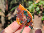 Natural Ball Malachite Specimens Coated with Drusy Quartz on Dolomite x 2 From Mindingi Mine, Congo - Toprock Gemstones and Minerals 