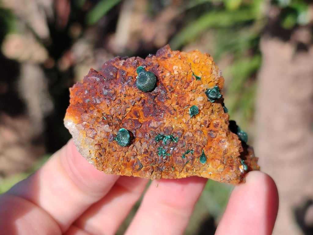 Natural Ball Malachite Specimens Coated with Drusy Quartz on Dolomite x 2 From Mindingi Mine, Congo - Toprock Gemstones and Minerals 