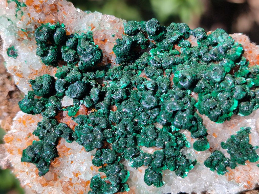 Natural Ball Malachite Specimens Coated with Drusy Quartz on Dolomite x 2 From Mindingi Mine, Congo - Toprock Gemstones and Minerals 