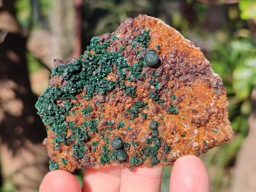 Natural Ball Malachite Specimens Coated with Drusy Quartz on Dolomite x 2 From Mindingi Mine, Congo - Toprock Gemstones and Minerals 
