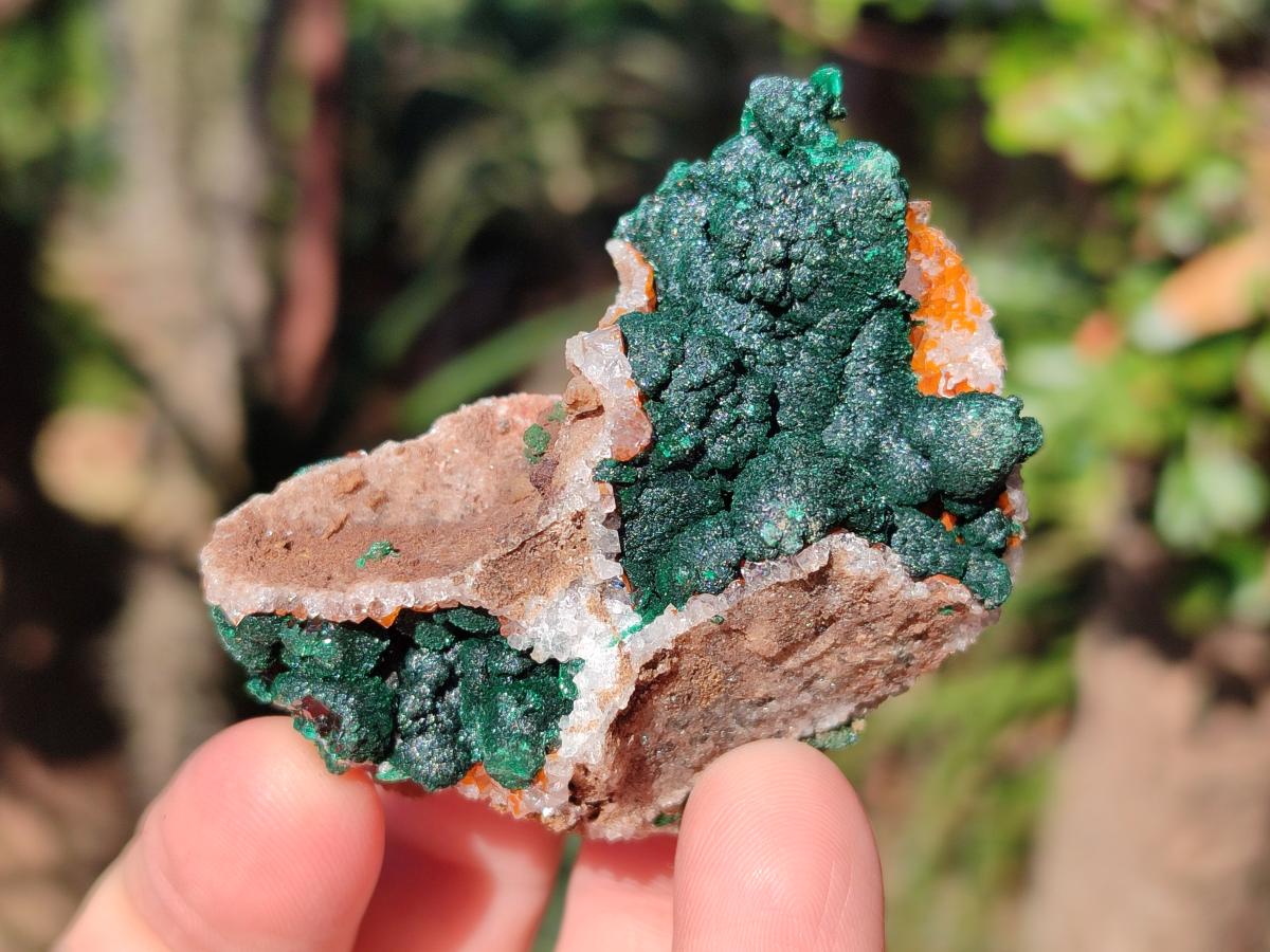 Natural Ball Malachite Specimens Coated with Drusy Quartz on Dolomite x 2 From Mindingi Mine, Congo - Toprock Gemstones and Minerals 