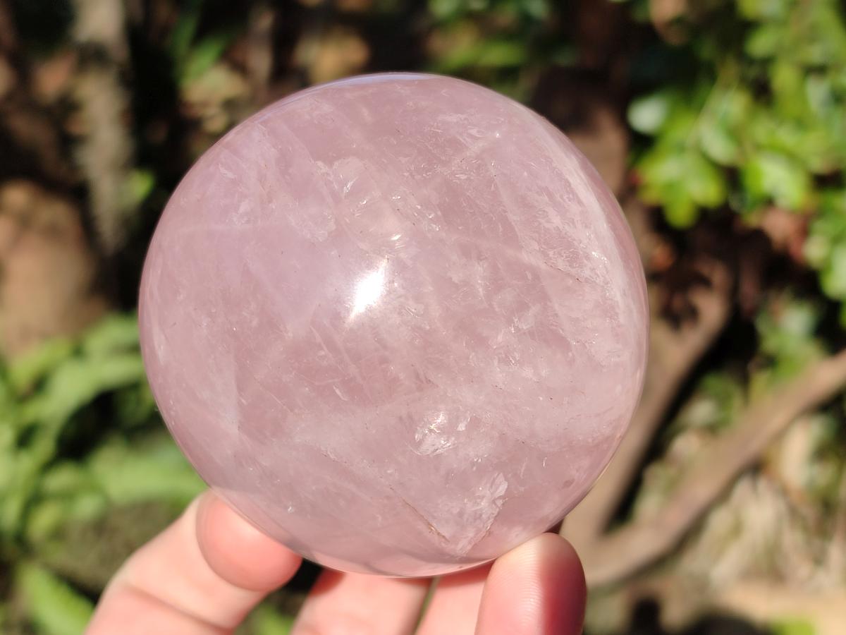 Polished Gemmy Rose Quartz Spheres x 2 From Madagascar - Toprock Gemstones and Minerals 