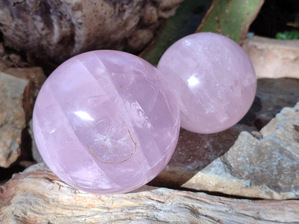 Polished Gemmy Rose Quartz Spheres x 2 From Madagascar - Toprock Gemstones and Minerals 