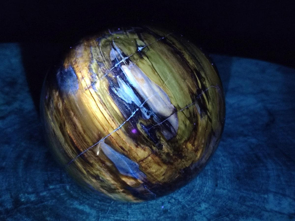 Polished Large Red Podocarpus Petrified Wood Sphere x 1 From Mahajanga, Madagascar - Toprock Gemstones and Minerals 