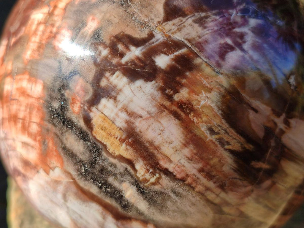 Polished Large Red Podocarpus Petrified Wood Sphere x 1 From Mahajanga, Madagascar - Toprock Gemstones and Minerals 