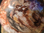 Polished Large Red Podocarpus Petrified Wood Sphere x 1 From Mahajanga, Madagascar - Toprock Gemstones and Minerals 