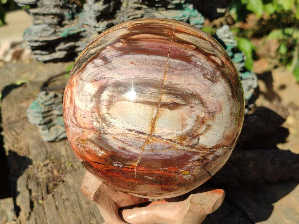 Polished Large Red Podocarpus Petrified Wood Sphere x 1 From Mahajanga, Madagascar - Toprock Gemstones and Minerals 