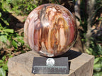 Polished Large Red Podocarpus Petrified Wood Sphere x 1 From Mahajanga, Madagascar - Toprock Gemstones and Minerals 