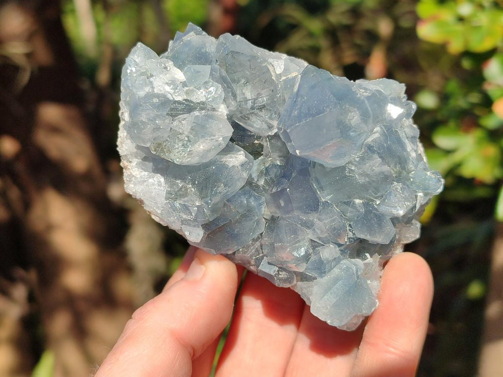 Natural Blue Celestite Crystal Specimens x 19 From Sakoany, Madagascar - Toprock Gemstones and Minerals 
