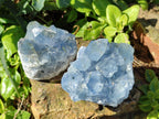 Natural Blue Celestite Crystal Specimens x 19 From Sakoany, Madagascar - Toprock Gemstones and Minerals 