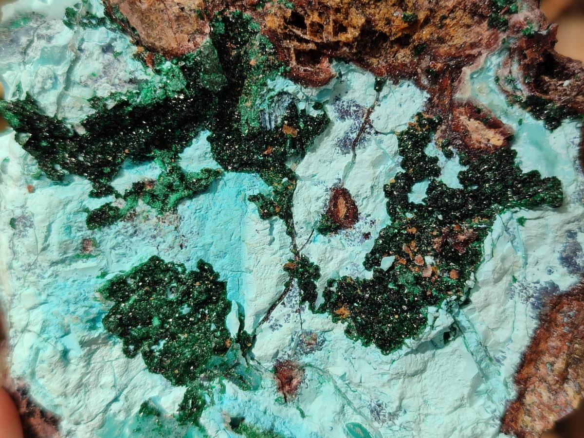 Natural Drusy Coated Chrysocolla Specimens with Crystalline Malachite x 2 From Lupoto Mine, Congo - Toprock Gemstones and Minerals 