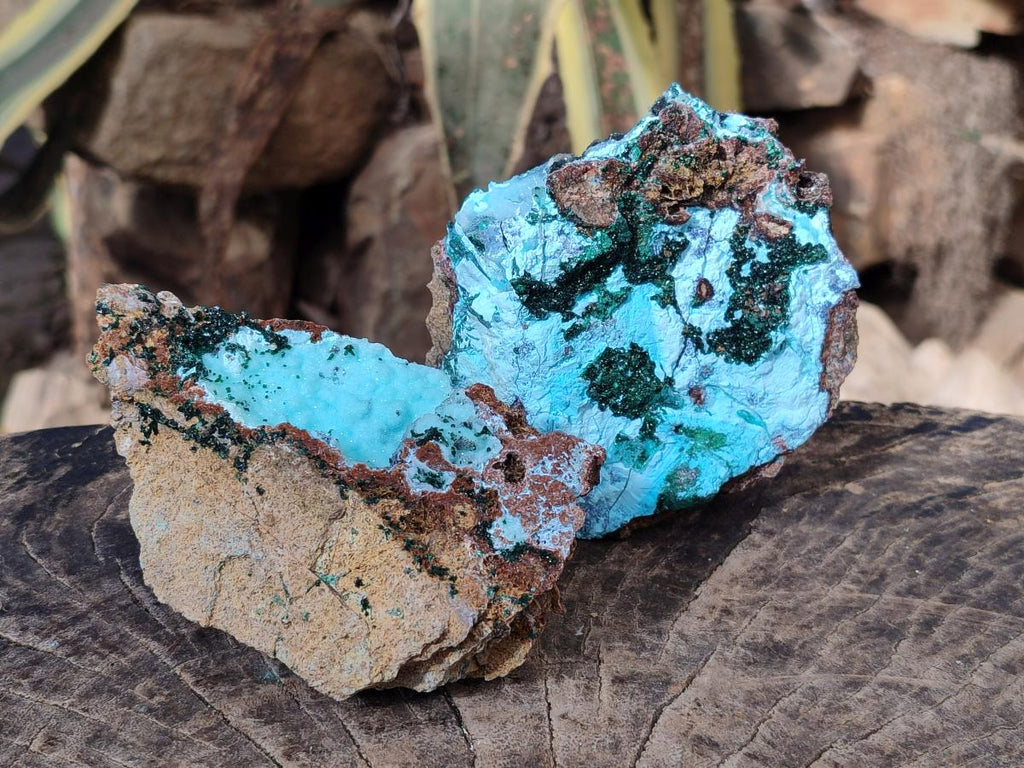 Natural Drusy Coated Chrysocolla Specimens with Crystalline Malachite x 2 From Lupoto Mine, Congo - Toprock Gemstones and Minerals 