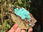 Natural Drusy Coated Chrysocolla Specimens with Crystalline Malachite x 2 From Lupoto Mine, Congo - Toprock Gemstones and Minerals 