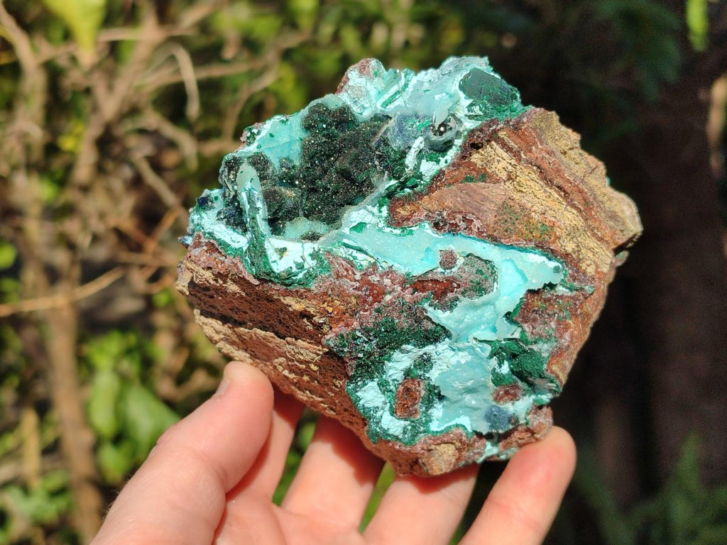 Natural Drusy Coated Chrysocolla Specimens with Crystalline Malachite x 2 From Lupoto Mine, Congo - Toprock Gemstones and Minerals 