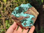 Natural Drusy Coated Chrysocolla Specimens with Crystalline Malachite x 2 From Lupoto Mine, Congo - Toprock Gemstones and Minerals 