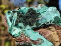 Natural Drusy Coated Chrysocolla Specimens with Crystalline Malachite x 2 From Lupoto Mine, Congo - Toprock Gemstones and Minerals 