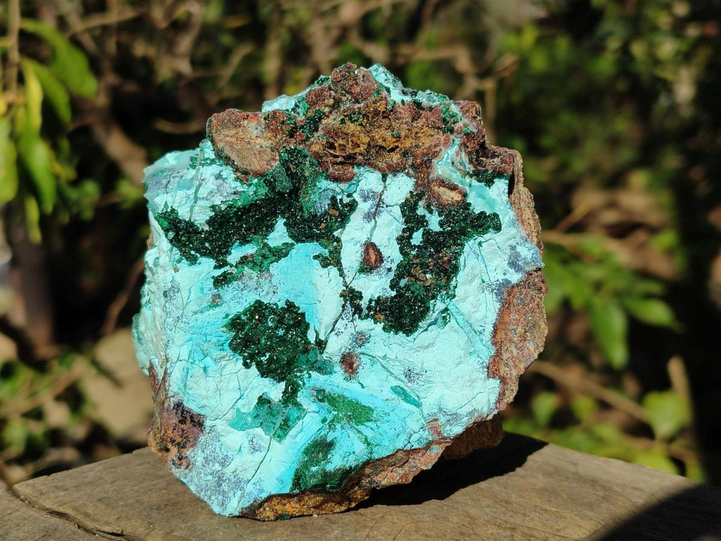 Natural Drusy Coated Chrysocolla Specimens with Crystalline Malachite x 2 From Lupoto Mine, Congo - Toprock Gemstones and Minerals 