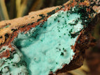 Natural Drusy Coated Chrysocolla Specimens with Crystalline Malachite x 2 From Lupoto Mine, Congo - Toprock Gemstones and Minerals 