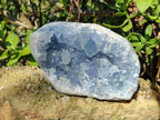 Natural Blue Celestite Specimens x 4 From Sakoany, Madagascar - Toprock Gemstones and Minerals 