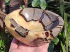 Polished Large Septerye Bowl x 1 From Mahajanga, Madagascar - Toprock Gemstones and Minerals 